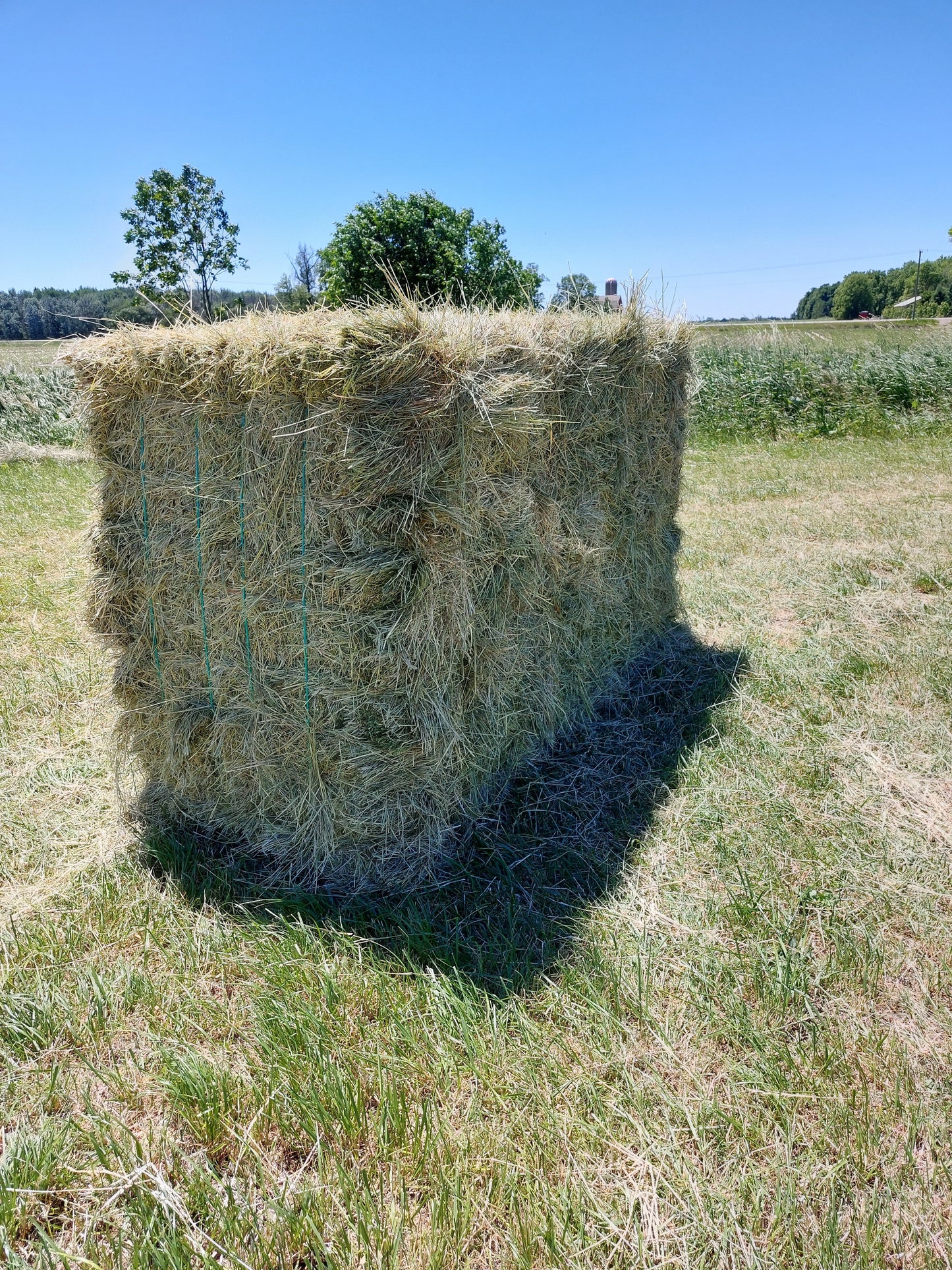 1st Cut Farmers Secret Blend Hay 2023 LOW STOCK