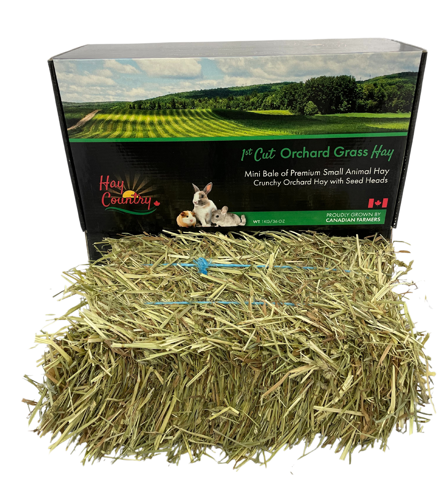Retail Mini bales of Hay