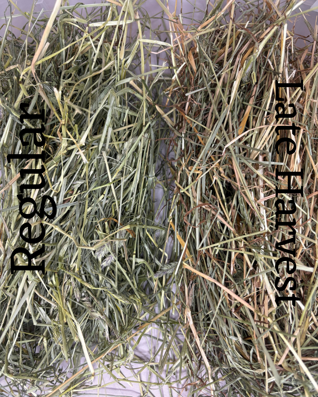 2026 Late Harvest 1st Cut Farmers Secret Blend Hay