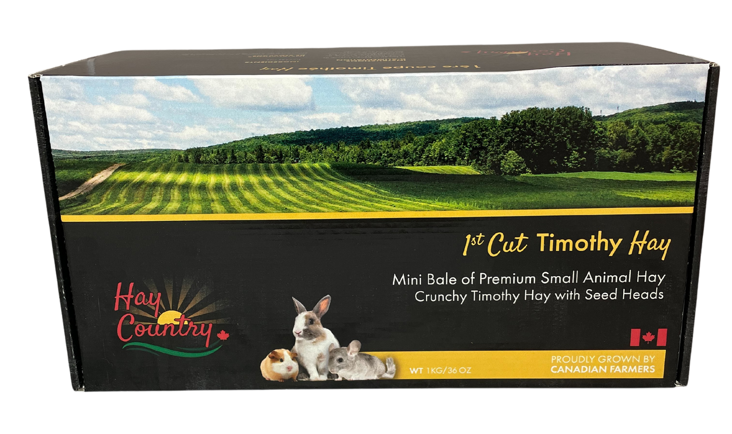Retail Mini bales of Hay