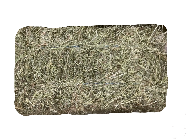 1st cut Timothy/ Orchard Grass Hay