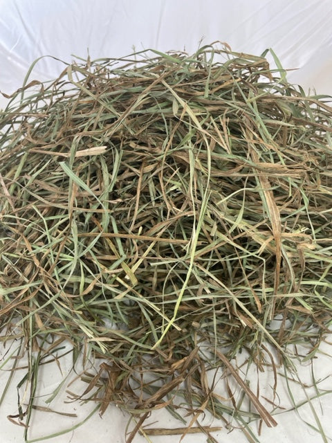 2nd Cut Orchard Grass