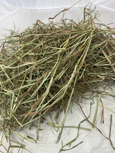 2nd cut Timothy Hay