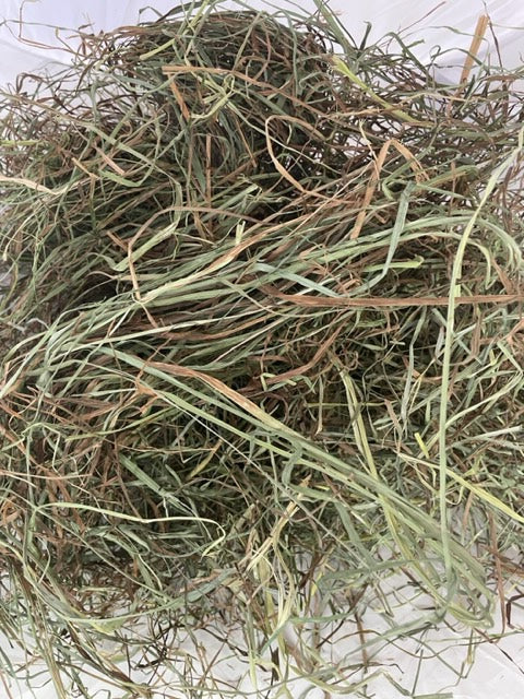 2nd Cut Timothy/ Orchard Grass