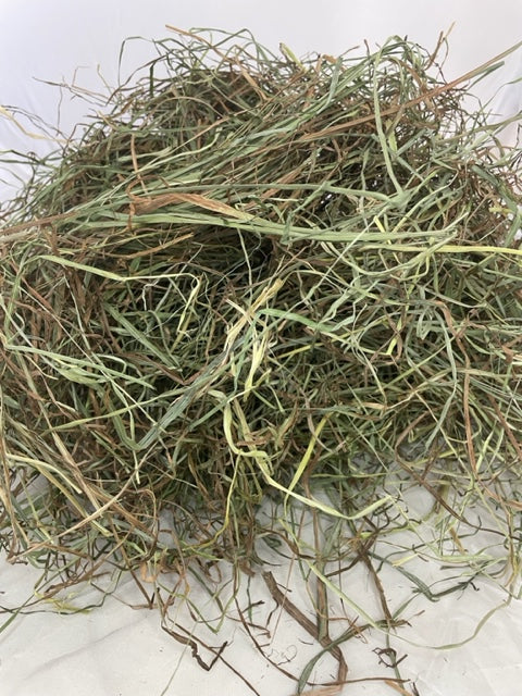 2nd Cut Timothy/ Orchard Grass