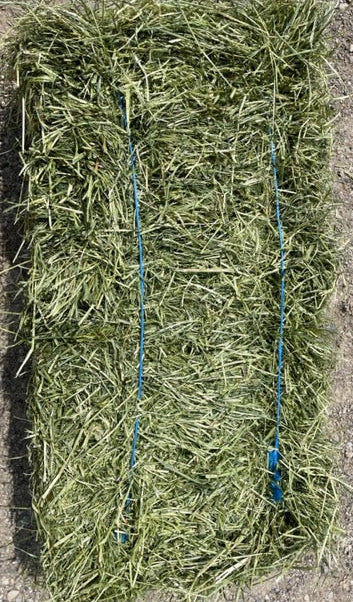 2025 1st Cut Farmers Secret Blend Hay