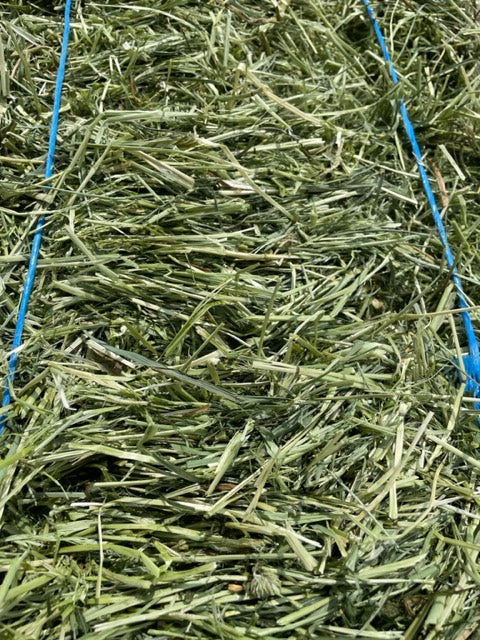 2025 1st Cut Farmers Secret Blend Hay