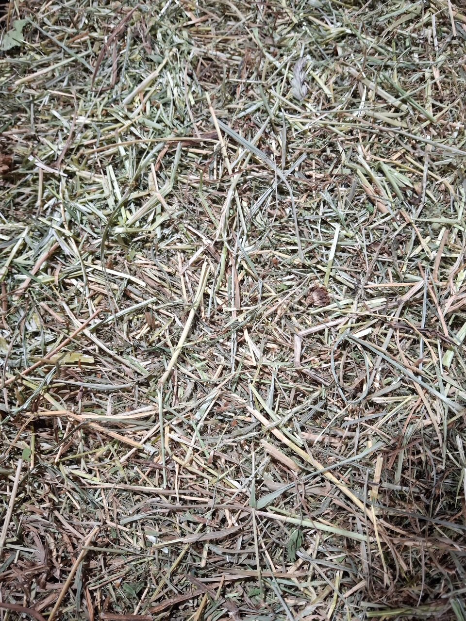 2025 1st Cut Alfalfa Mix