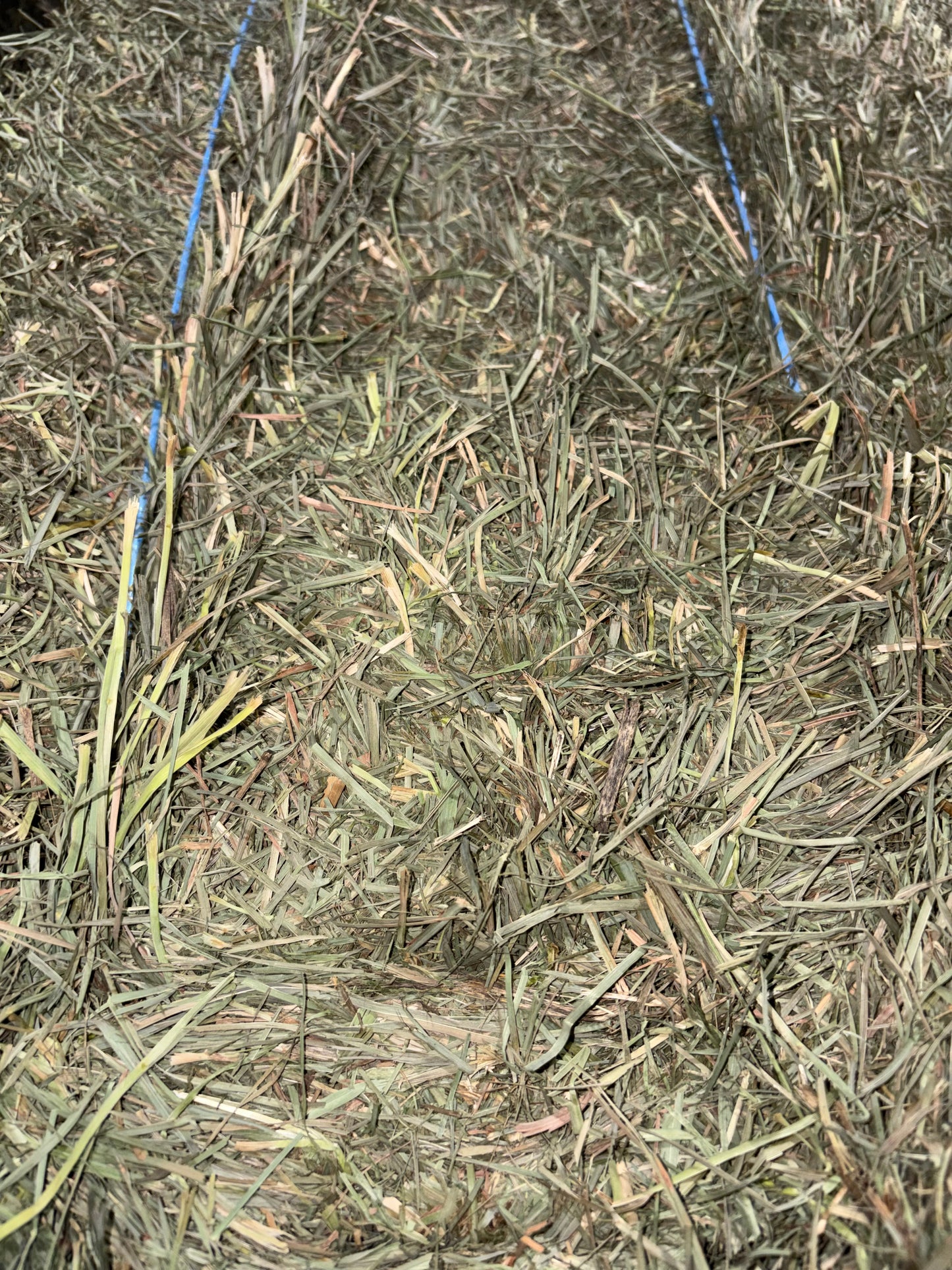 2026 2nd Cut Timothy/ Orchard Grass