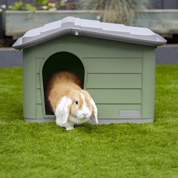 Knock- Down Pet House