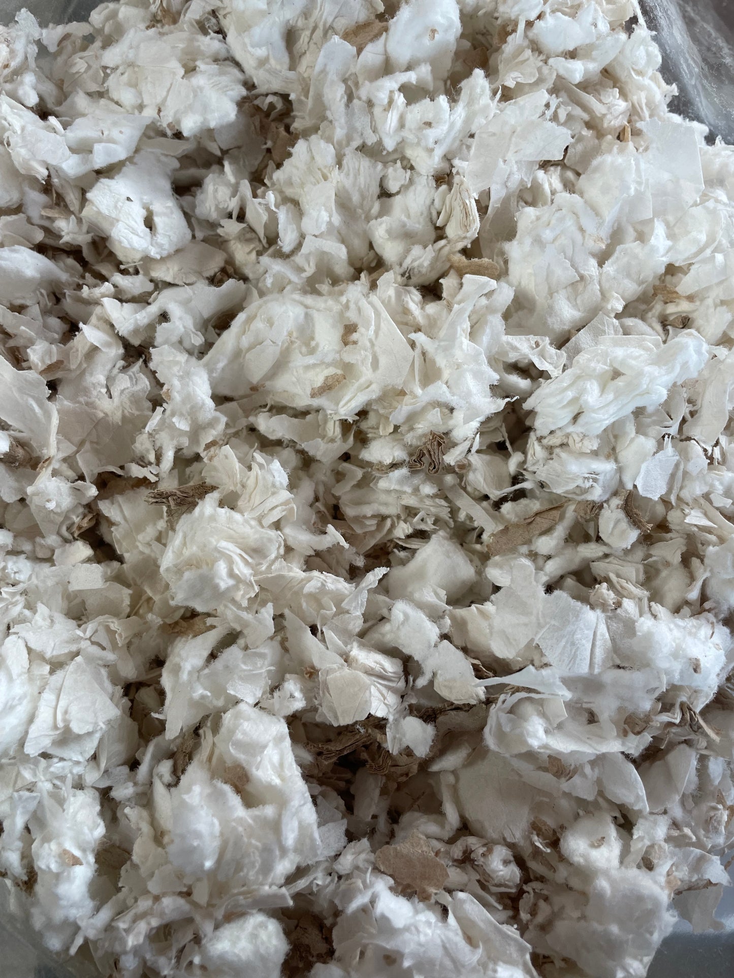 Paper Bedding
