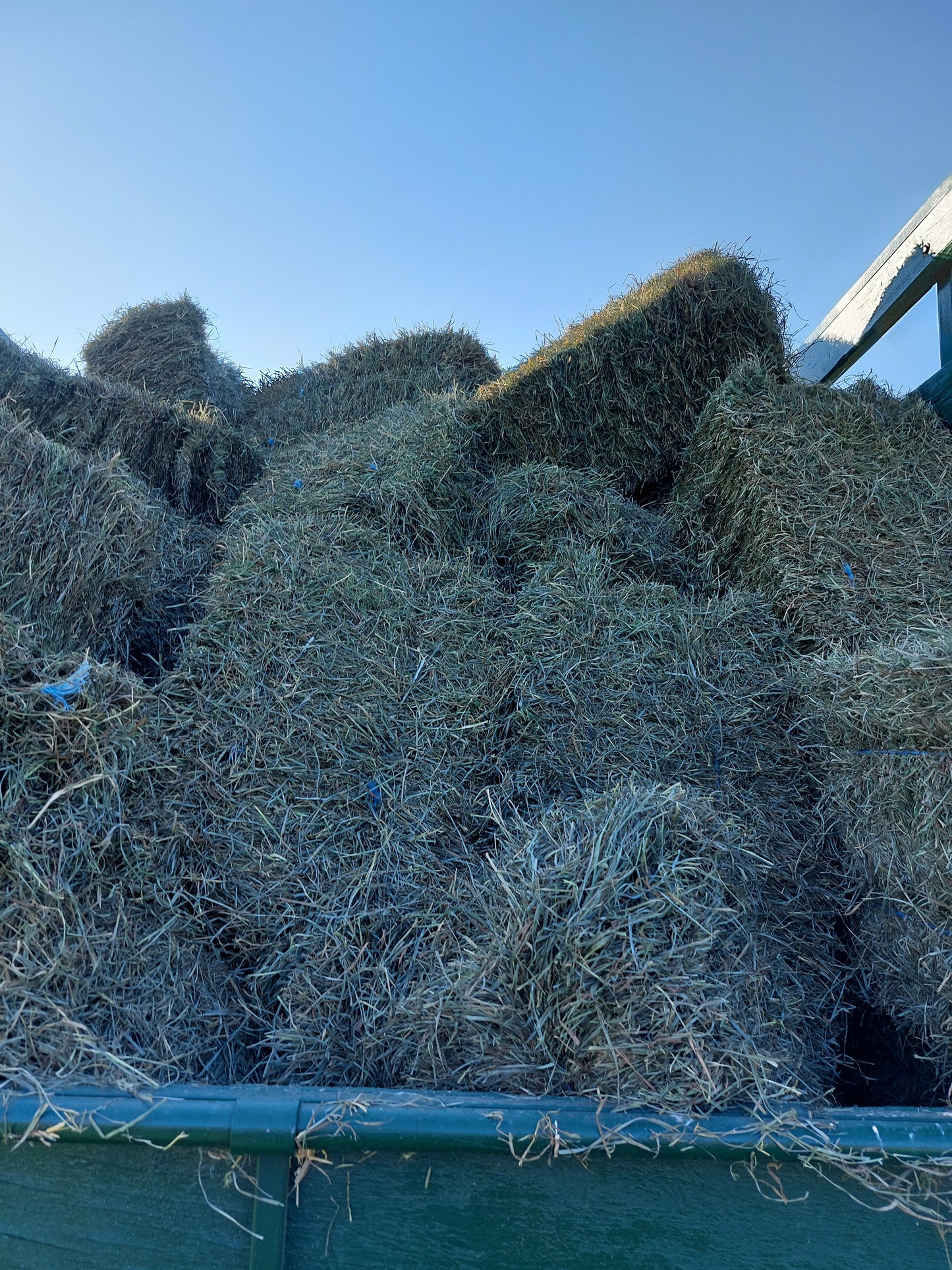 2nd cut Timothy Hay