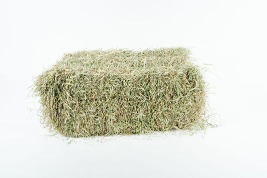 1st cut Timothy Hay