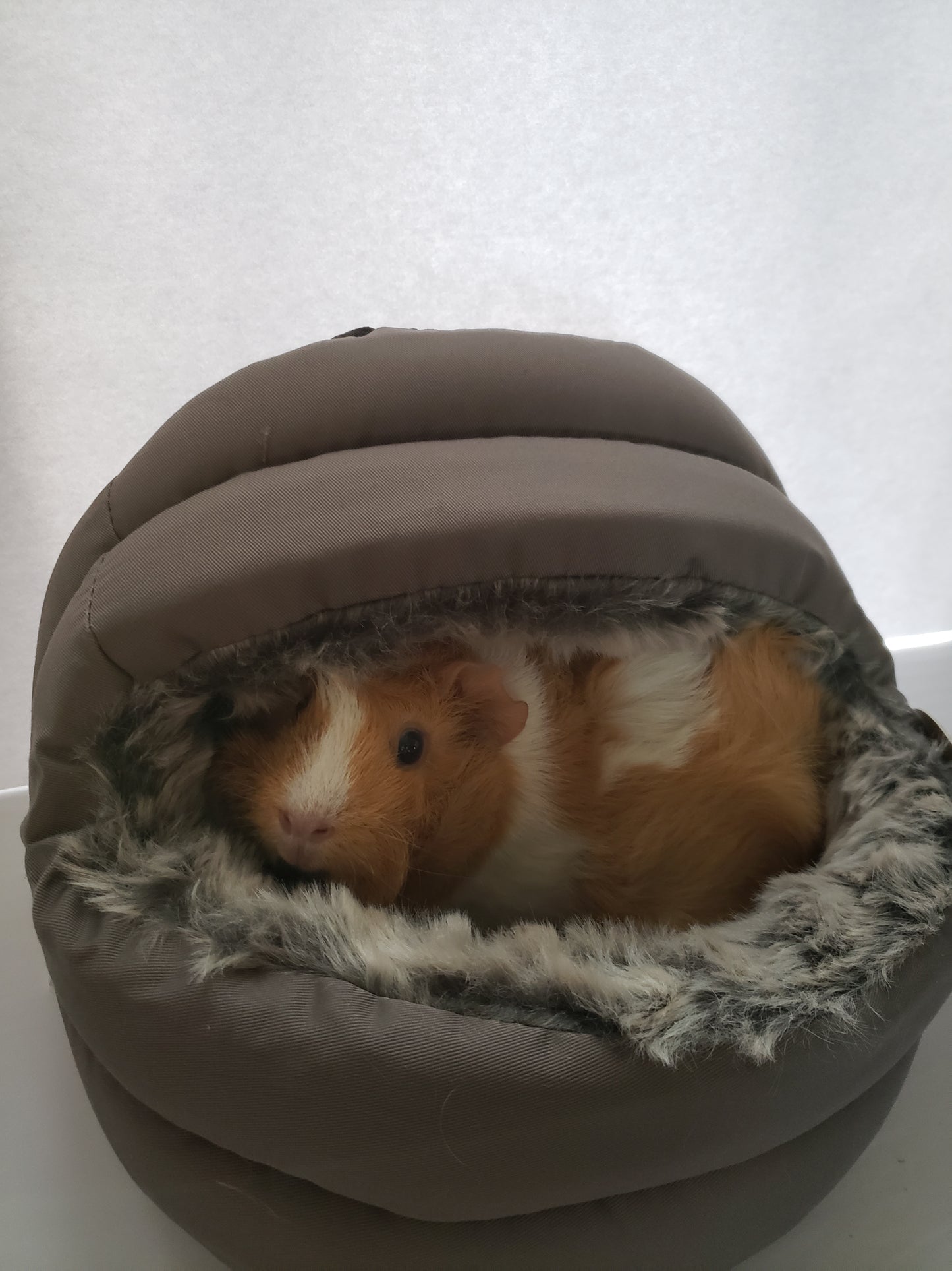 2 Way Hooded Bed