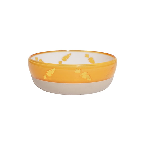 Translucent Carrot Bowl