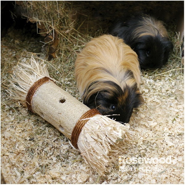 Loofa Toss & Treat Roller