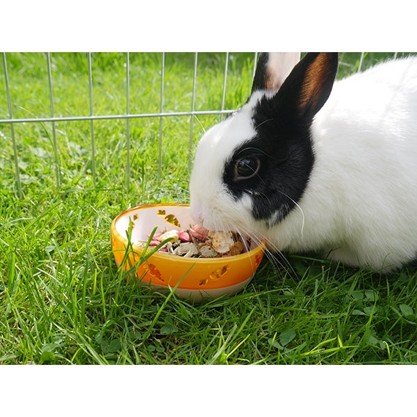 Translucent Carrot Bowl