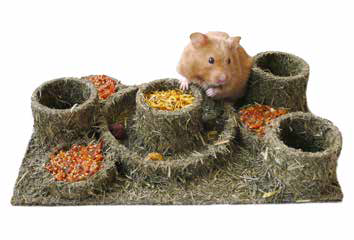 Rosewood Hay n' Treat Maze