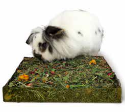 Rosewood Nibble n' Dig Meadow