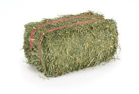 Choose your own Mini Hay Bales 2 Pack- Hay for small animals – Hay