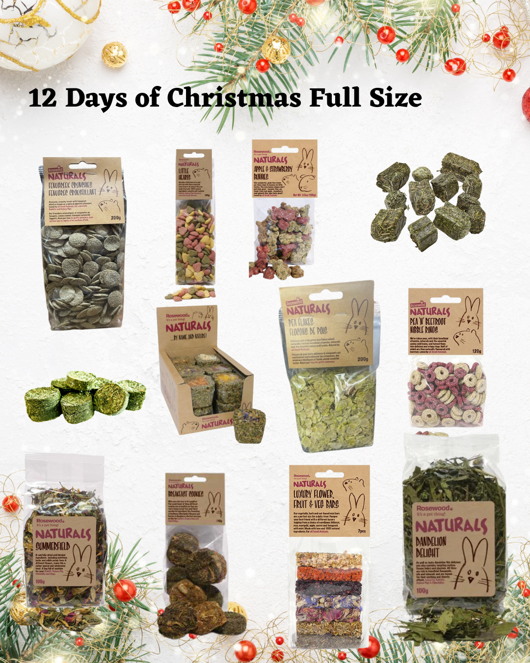 12 days of Christmas 2025