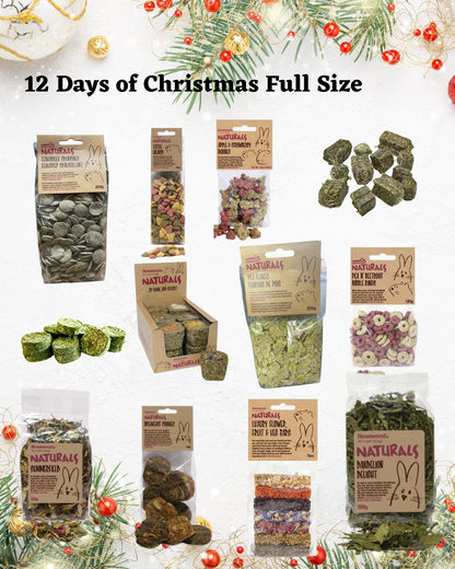 12 days of Christmas 2025