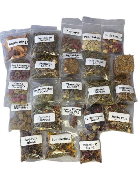 12 days of Christmas 2025