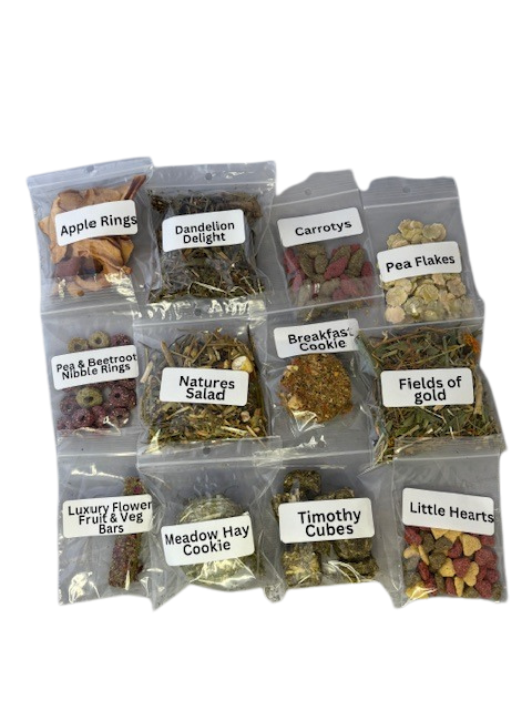 12 days of Christmas 2025