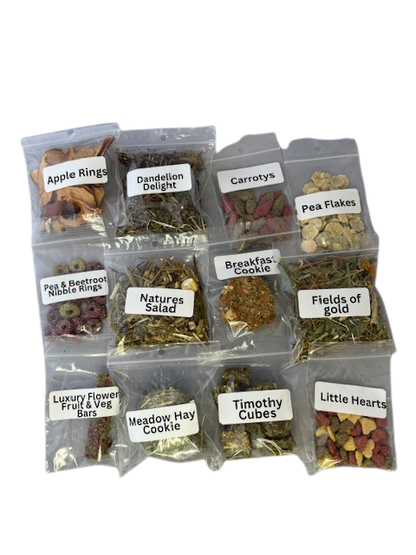 12 days of Christmas 2025