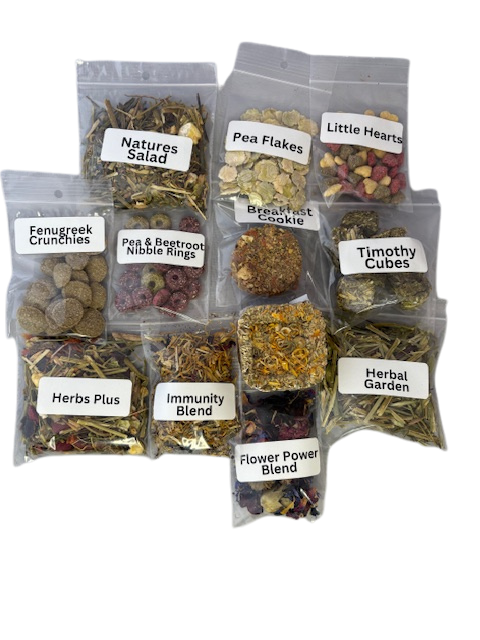 12 days of Christmas 2025