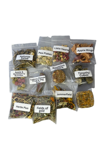 12 days of Christmas 2025