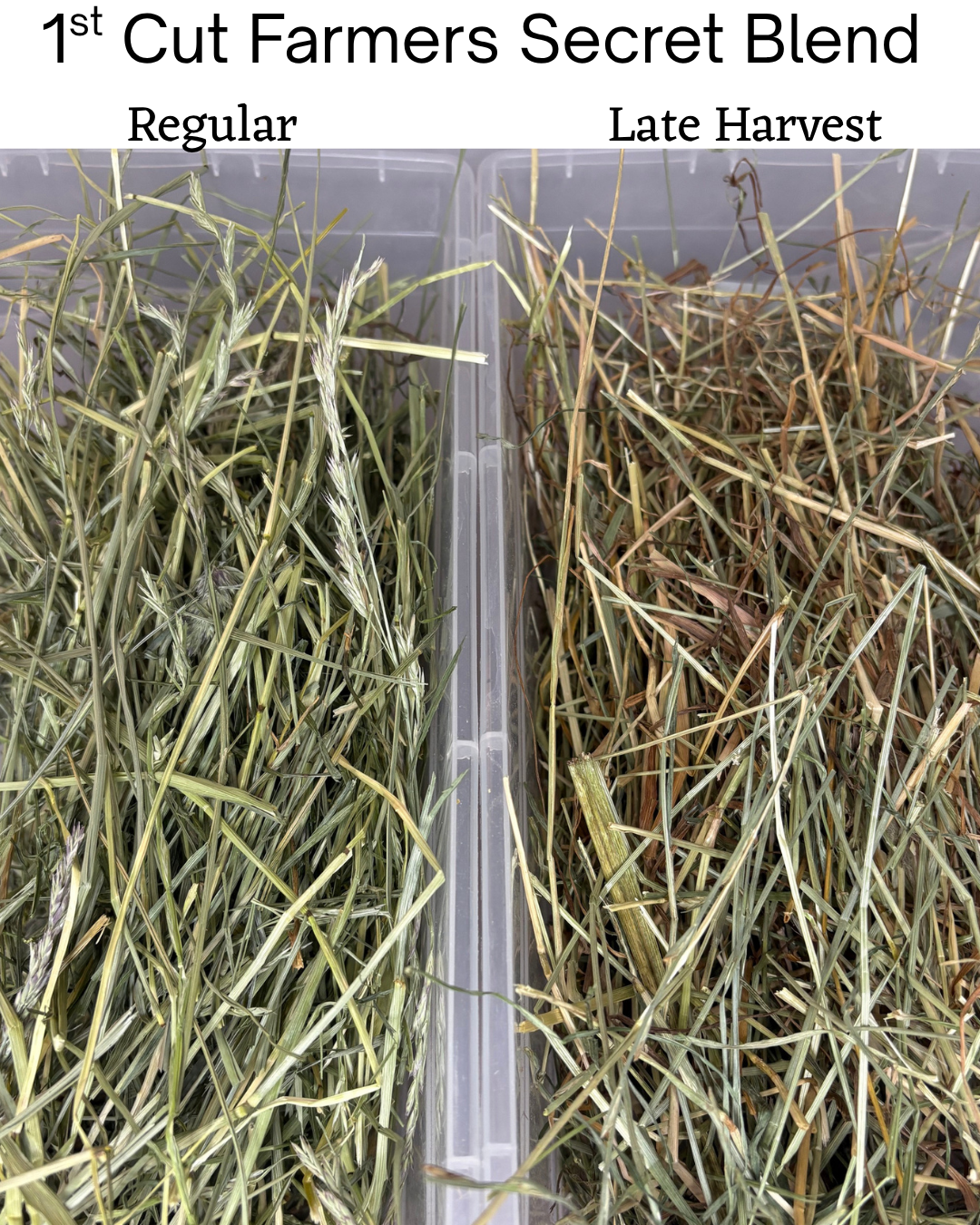 2026 Late Harvest 1st Cut Farmers Secret Blend Hay