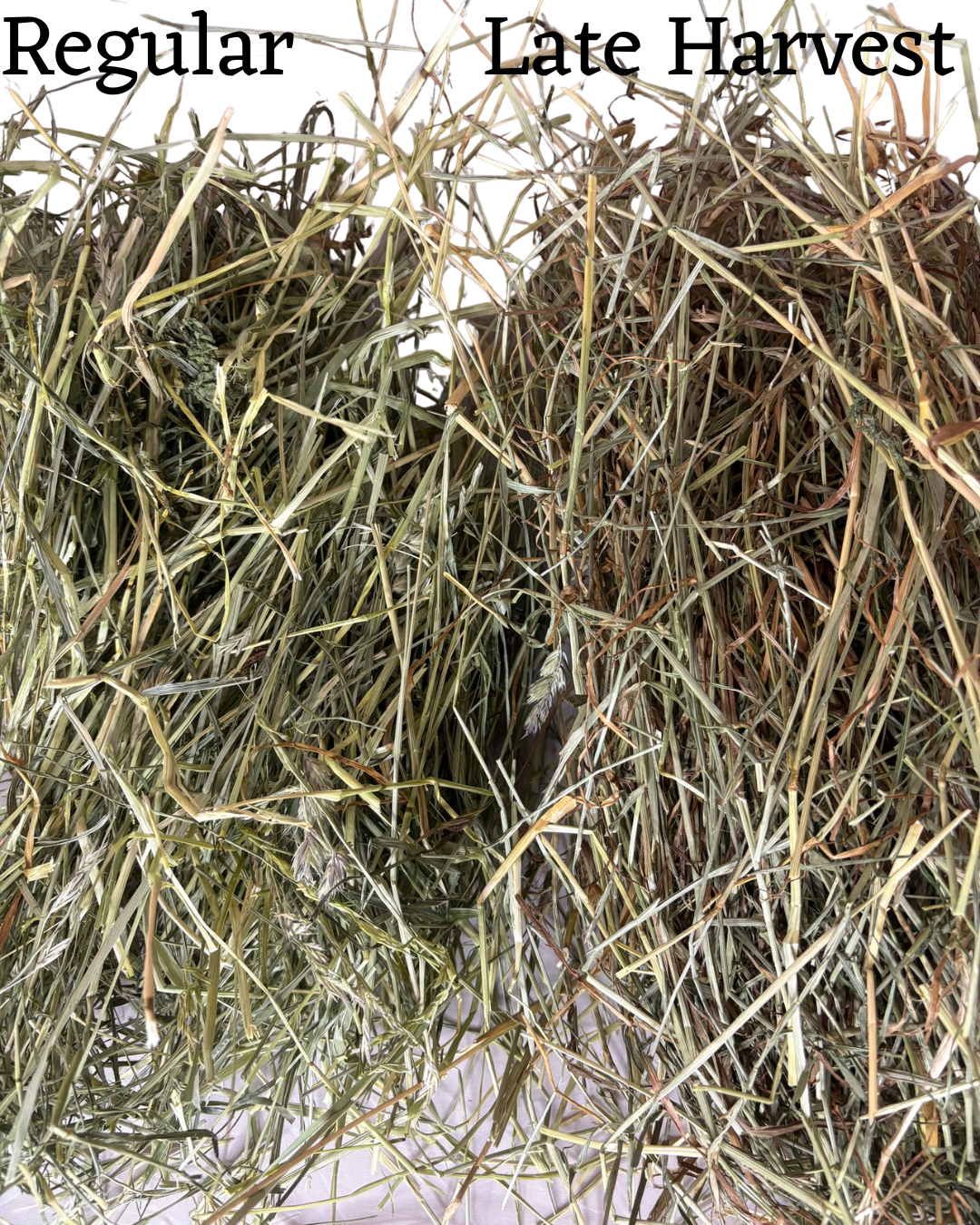 2026 Late Harvest 1st Cut Farmers Secret Blend Hay
