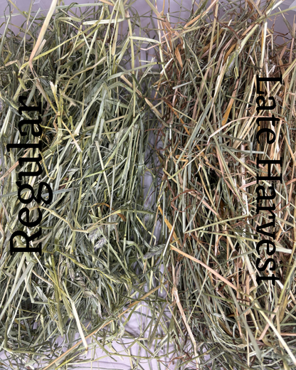 2026 Late Harvest 1st Cut Farmers Secret Blend Hay
