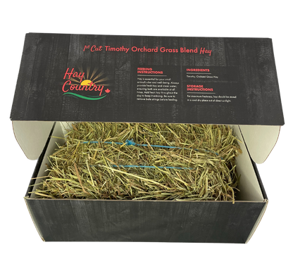 Retail Mini bales of Hay