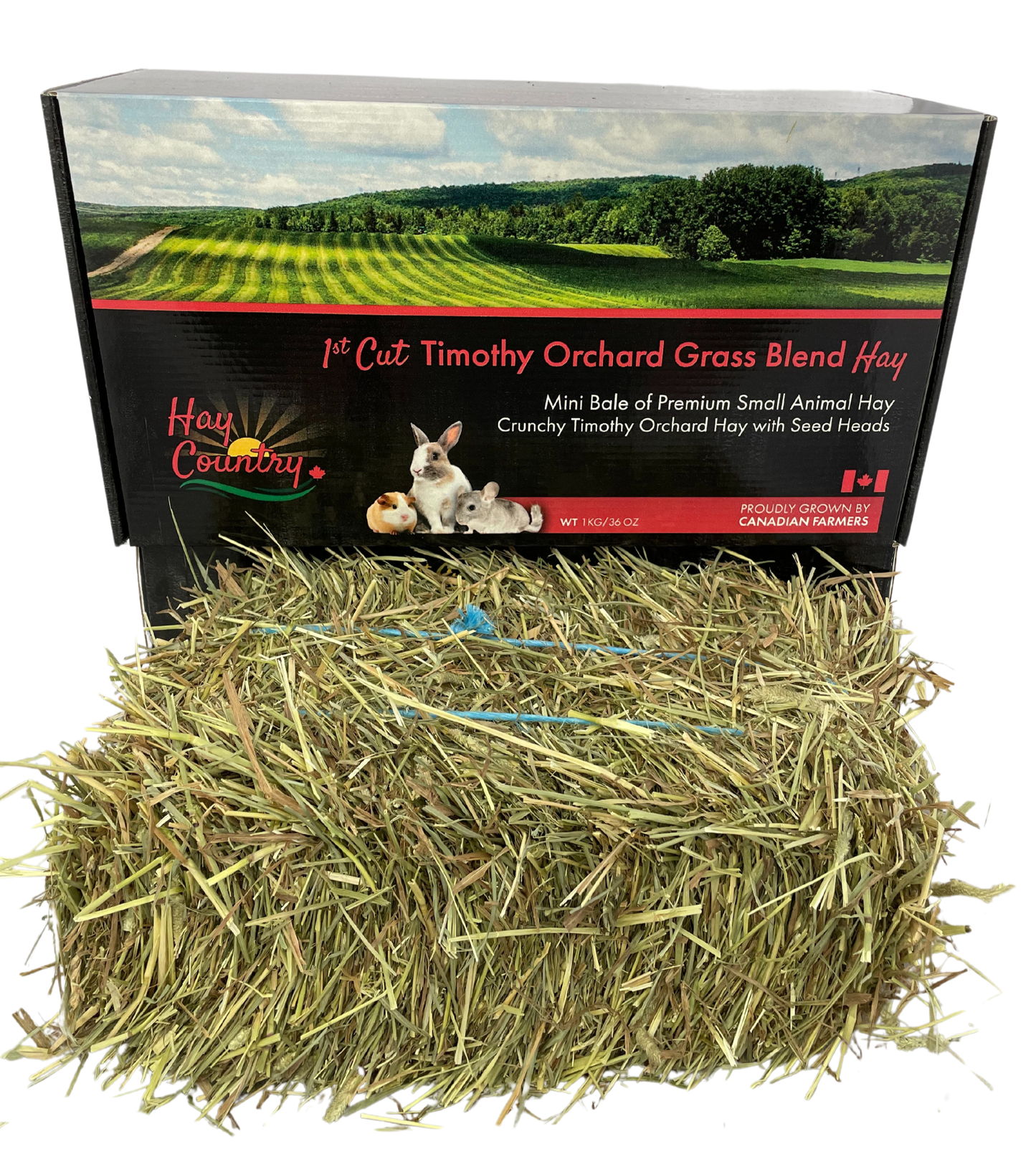 Retail Mini bales of Hay