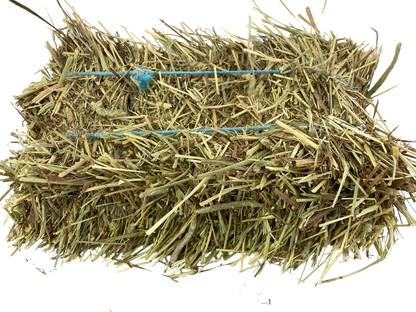3 for $10 Mystery Reject Mini Bales