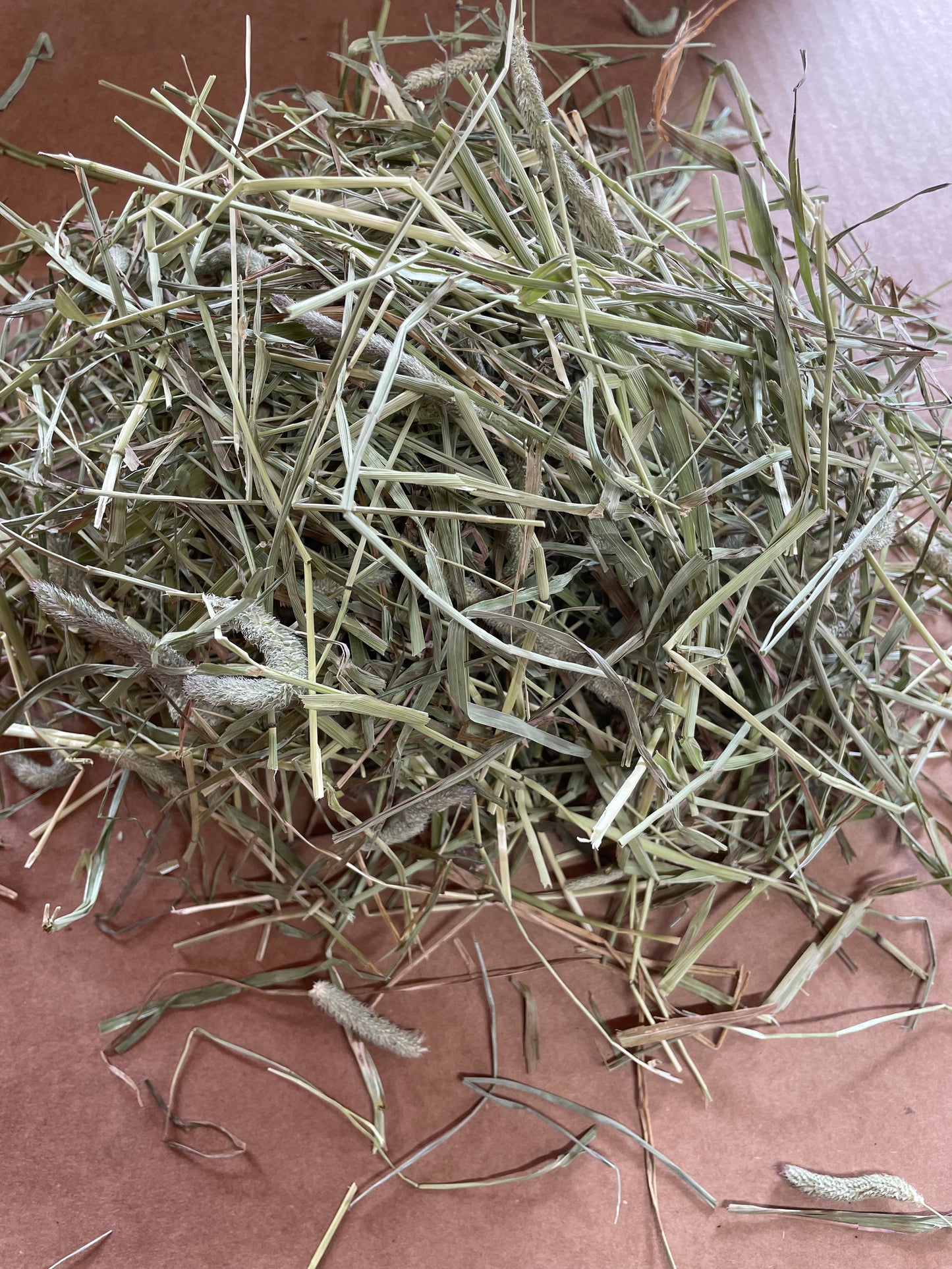 2026 1st cut Timothy Hay