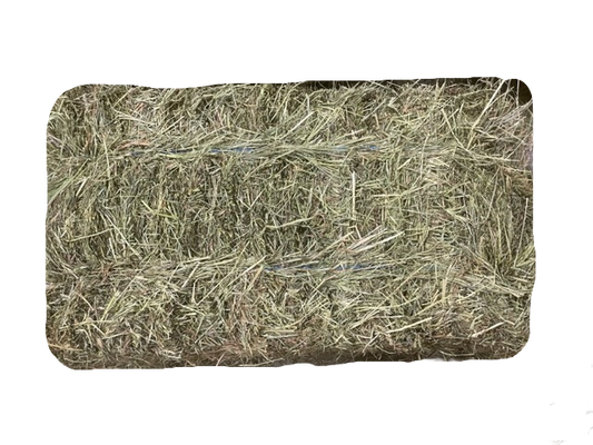 2024 1st cut Timothy/ Orchard Grass Hay