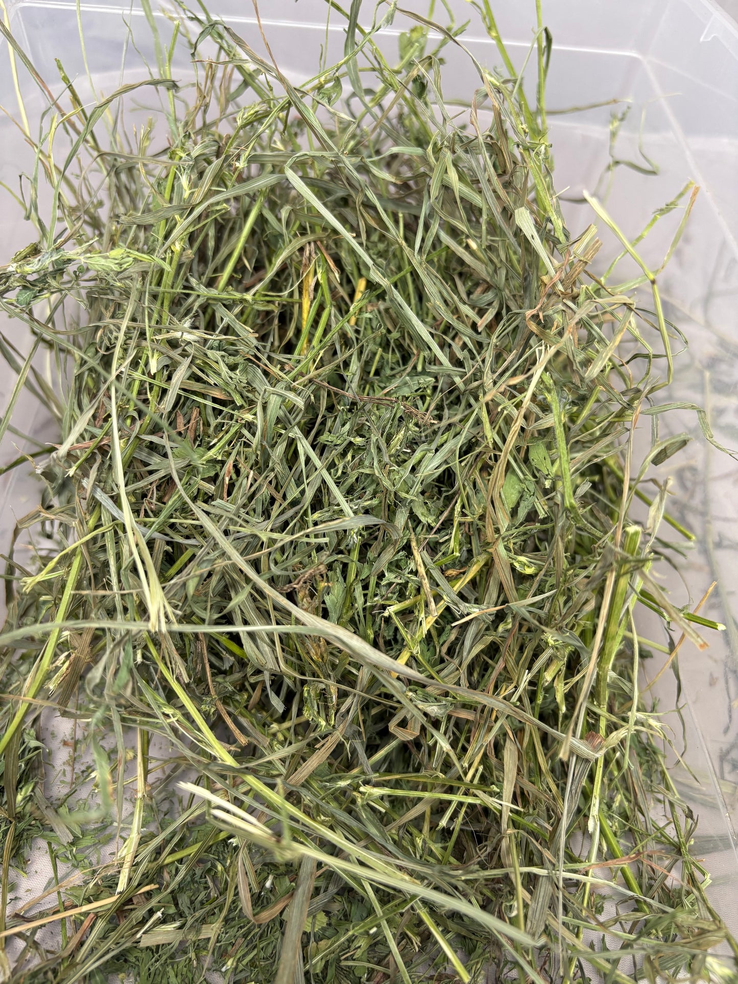 2026 2nd Cut Alfalfa