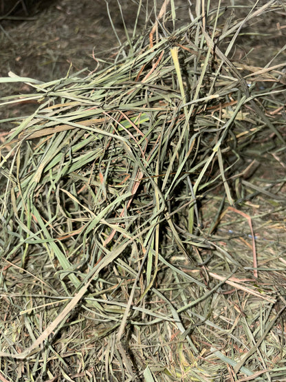 2026 2nd Cut Timothy/ Orchard Grass