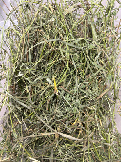 2026 2nd Cut Alfalfa
