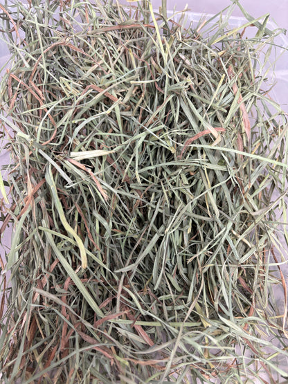 2026 2nd Cut Orchard Grass