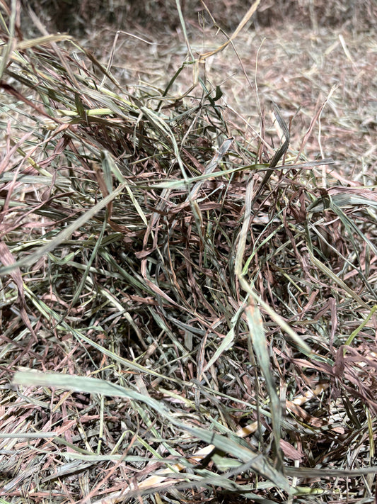 2026 2nd cut Timothy Hay