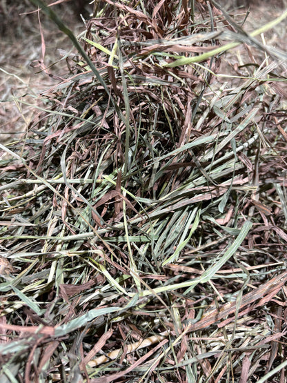 2026 2nd cut Timothy Hay