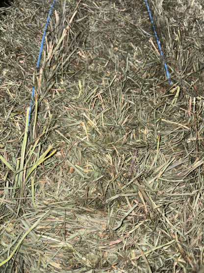 2026 2nd Cut Timothy/ Orchard Grass
