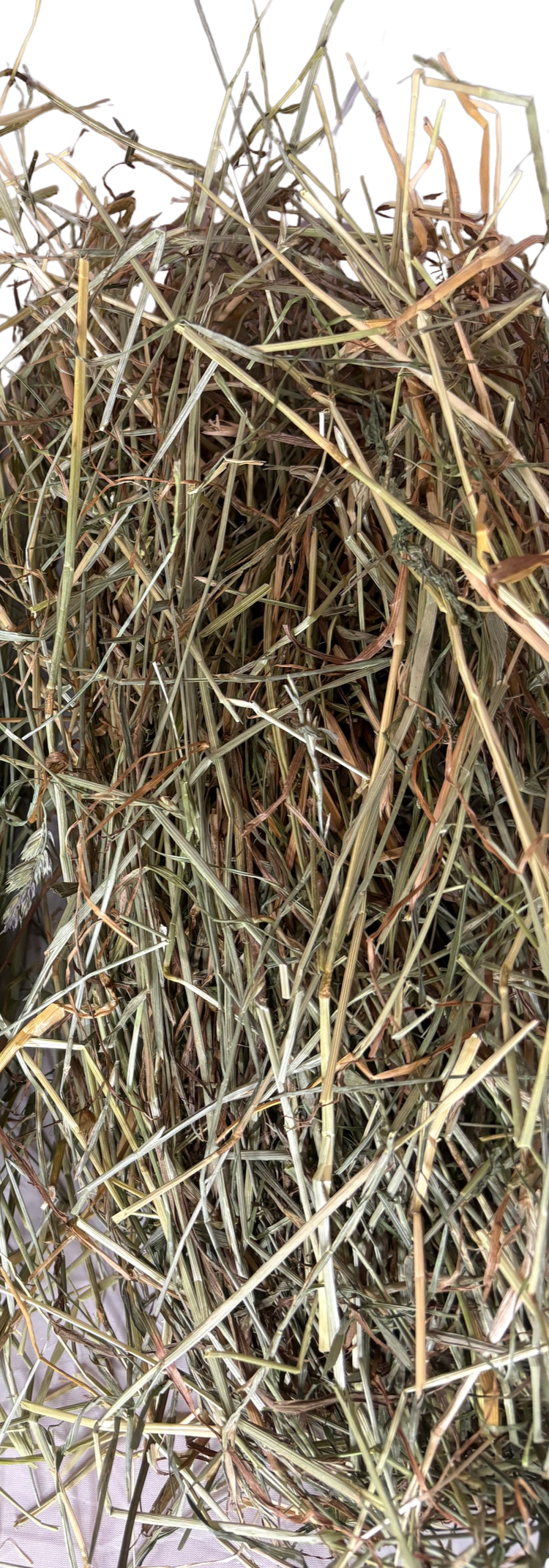 2026 Late Harvest 1st Cut Farmers Secret Blend Hay