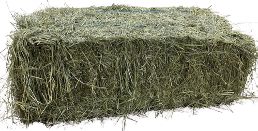 2024 1st Cut Farmers Secret Blend Hay