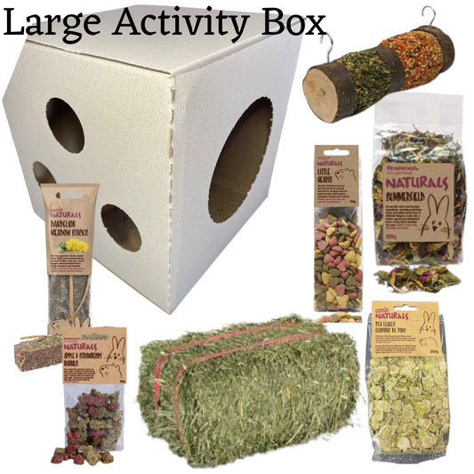 Activity Box