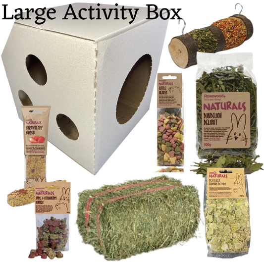 Activity Box